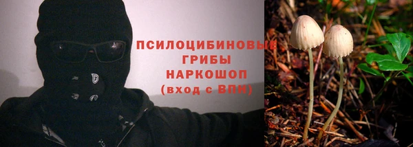 а пвп мука Армянск