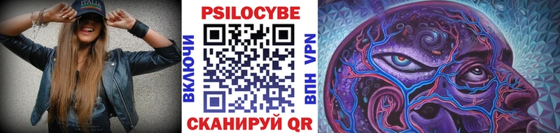 купить наркоту  Ртищево  Галлюциногенные грибы мицелий 